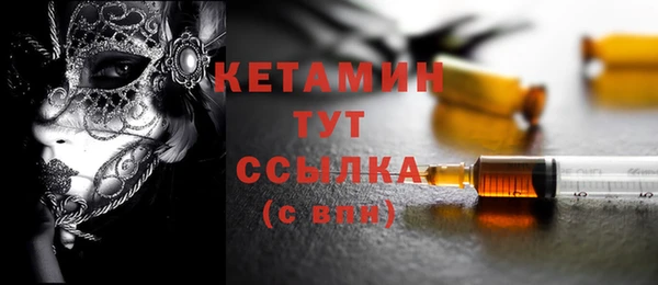 трава Корсаков