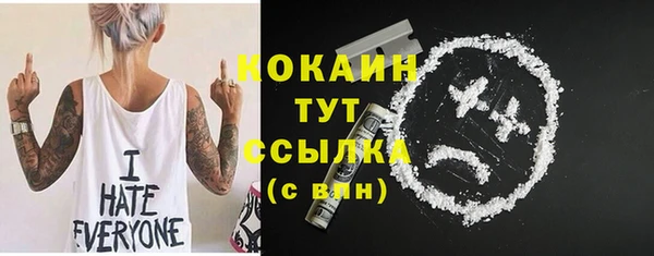 трава Корсаков