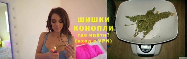 трава Корсаков