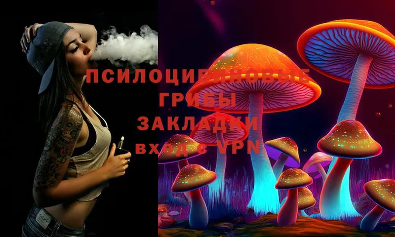 shop формула  Мензелинск  Псилоцибиновые грибы MAGIC MUSHROOMS  как найти закладки 