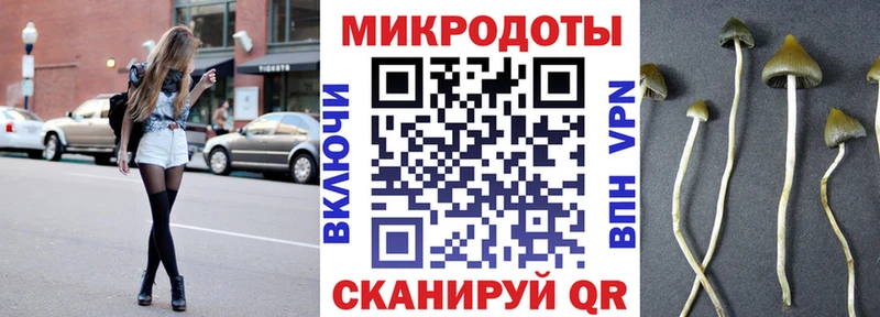 Псилоцибиновые грибы Cubensis  Мензелинск 